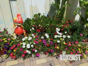 Дом 22м², 1-этажный, посуточно,