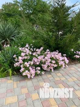 Дом 40м², 1-этажный, посуточно,