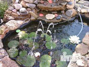 Дом 50м², 1-этажный, посуточно,