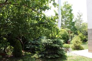 Дом 170м², 2-этажный, посуточно,