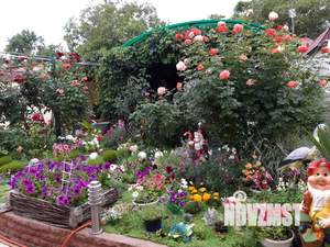 Дом 55м², 1-этажный, посуточно,