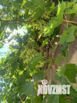 Дом 18м², 1-этажный, посуточно,