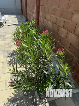 Дом 120м², 2-этажный, посуточно,