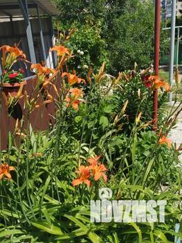 Дом 80м², 2-этажный, посуточно,