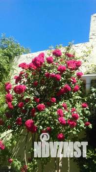 Дом 70м², 3-этажный, посуточно,