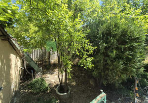 Дача 46м², 1-этажный, участок 4 сот.