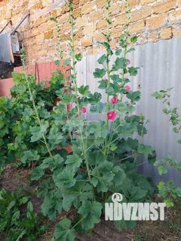 Дача 40м², 1-этажный, участок 4 сот.