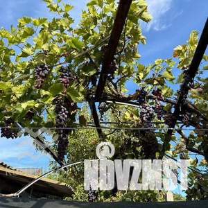 Дом 70м², 1-этажный, участок 5 сот.