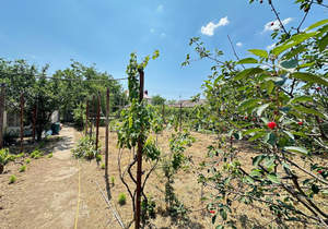 Дом 16м², 1-этажный, участок 7 сот.