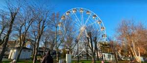 Дом 40м², 1-этажный, участок 2 сот.