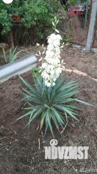 Дом 30м², 1-этажный, участок 5 сот.