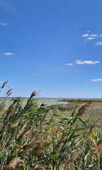 Дом 100м², 3-этажный, участок 5 сот.