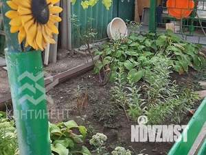 Дом 40м², 1-этажный, участок 2 сот.