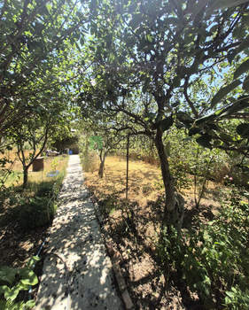 Дача 46м², 1-этажный, участок 4 сот.