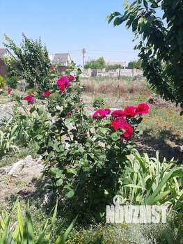 Дом 55м², 2-этажный, участок 5 сот.