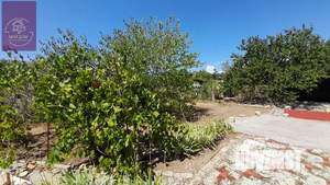 Дача 52м², 1-этажный, участок 5 сот.