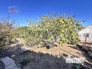 Дом 55м², 1-этажный, участок 4 сот.