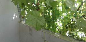 Дом 76м², 2-этажный, участок 0 сот.