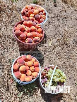 Дача 40м², 1-этажный, участок 4 сот.