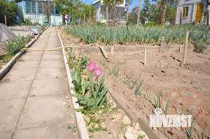 Дача 38м², 2-этажный, участок 4 сот.