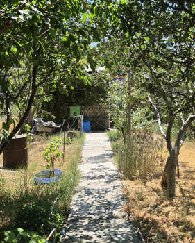 Дача 46м², 1-этажный, участок 4 сот.