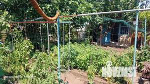 Дом 40м&sup2;, 1-этажный, посуточно, 