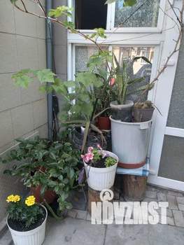 Дом 20м², 1-этажный, посуточно, 