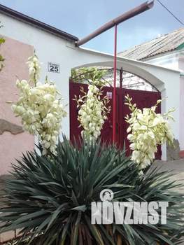 Дом 50м&sup2;, 1-этажный, посуточно, 