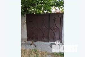 Дом 60м&sup2;, 1-этажный, посуточно, 