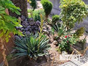 Дом 60м², 1-этажный, посуточно, 