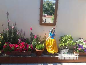 Дом 22м&sup2;, 1-этажный, посуточно, 