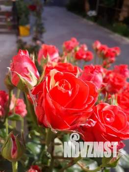 Дом 60м&sup2;, 1-этажный, посуточно, 