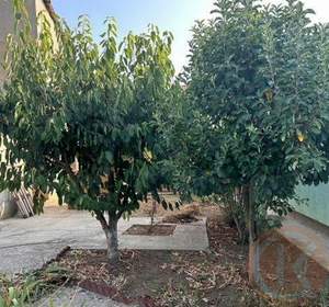 Дом 82м², 1-этажный, участок 6 сот.  