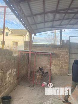 Дом 194м², 1-этажный, участок 6 сот.  