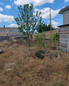 Дом 38м², 1-этажный, участок 5 сот.  