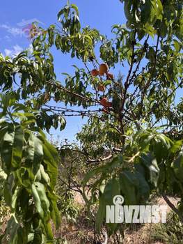 Дом 268м², 2-этажный, участок 15 сот.  