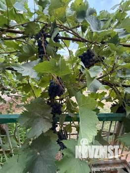 Дом 257м², 3-этажный, участок 5 сот.  