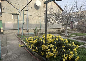 Дом 80м&sup2;, 1-этажный, участок 5 сот.  