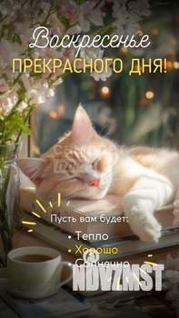 Дача 46м², 1-этажный, участок 6 сот.  