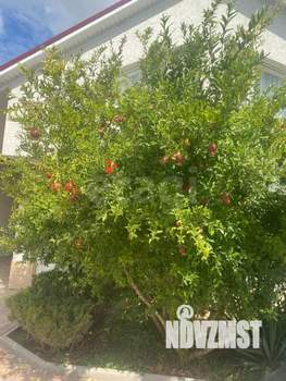 Дом 38м², 2-этажный, участок 2 сот.  