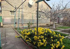 Дом 80м&sup2;, 1-этажный, участок 5 сот.  