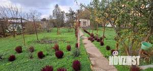 Дача 15м², 1-этажный, участок 7 сот.  