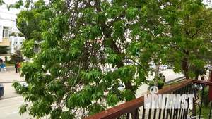 2-к квартира, посуточно, 41м2, 2/4 этаж