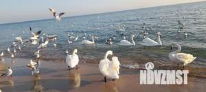 2-к квартира, посуточно, 50м2, 7/9 этаж