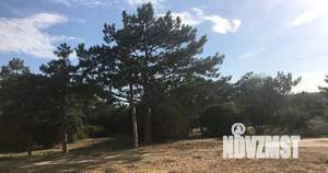 1-к квартира, посуточно, 55м2, 1/1 этаж