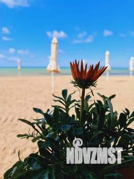 1-к квартира, посуточно, 63м2, 1/1 этаж