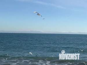 2-к квартира, посуточно, 59м2, 8/9 этаж