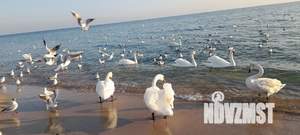 2-к квартира, посуточно, 50м2, 7/9 этаж