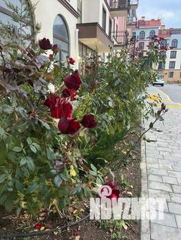 1-к квартира, посуточно, 39м2, 1/1 этаж