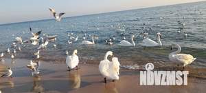 2-к квартира, посуточно, 50м2, 7/9 этаж